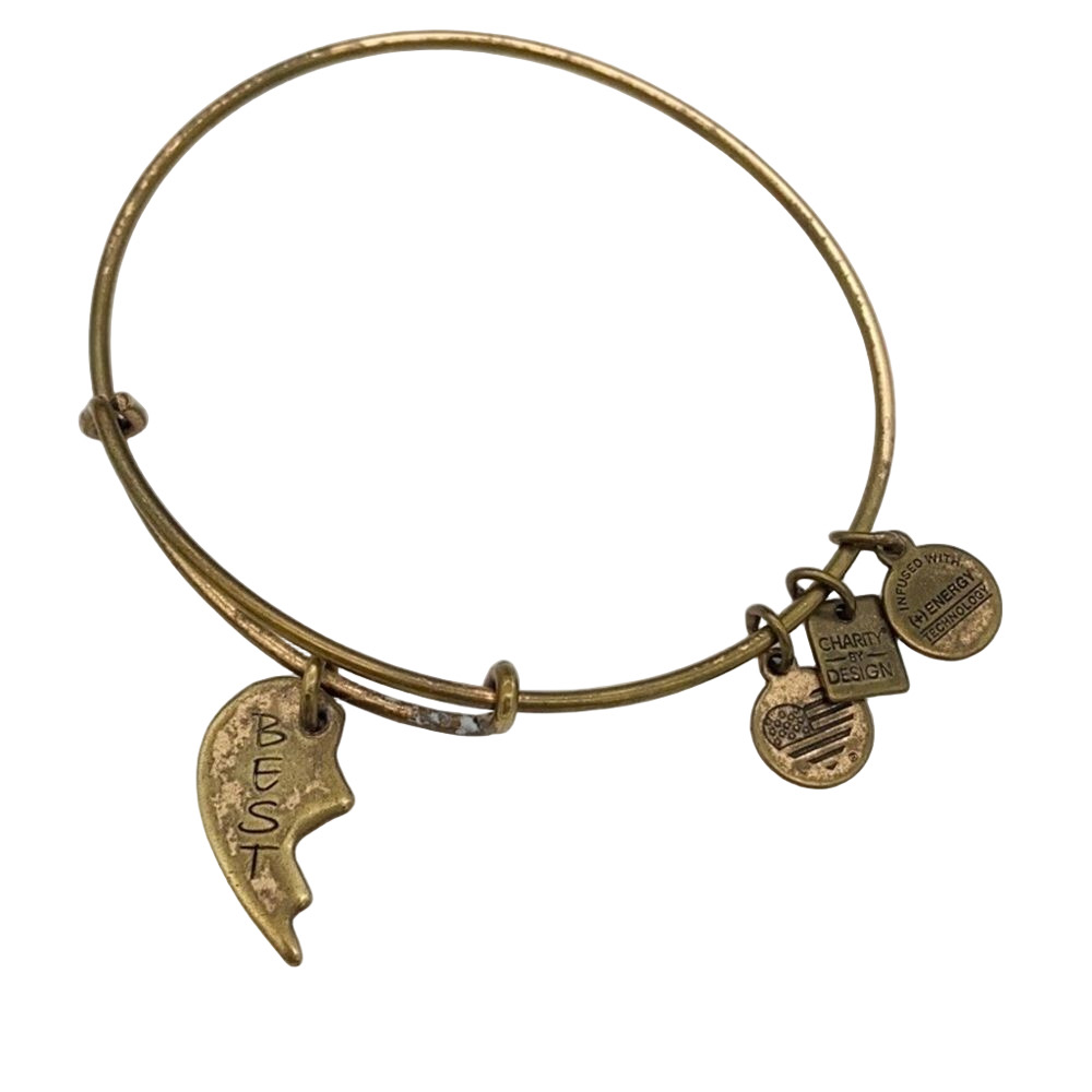 🍭6/$30 Alex & Ani Best Adjustable Charm Bracelet